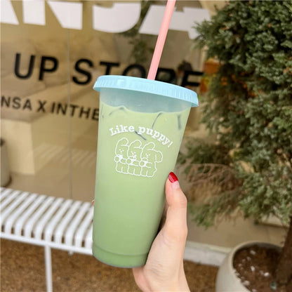 Kawaii Straw Water Bottle